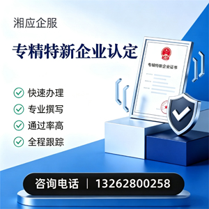 汕头专精特新企业申报服务