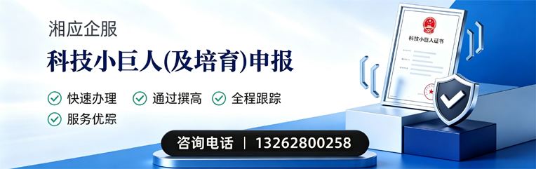 汕头科技小巨人及培育企业申报服务