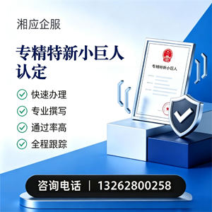 汕头专精特新小巨人申报服务