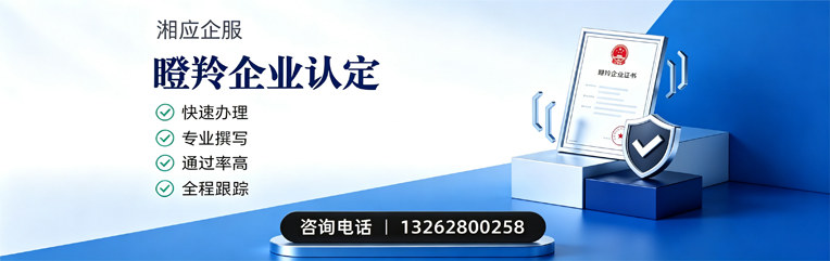 汕头瞪羚企业认定申报服务