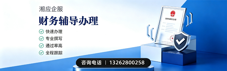 汕头财务辅导申请服务