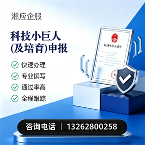 汕头科技小巨人及培育企业申报服务