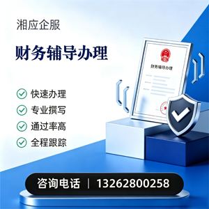 汕头财务辅导申请服务