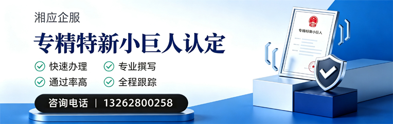 汕头专精特新小巨人申报服务